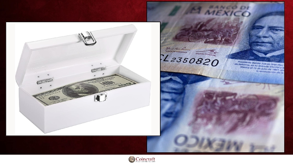 Defeating the Elements: How to Safely Store and Display Vintage Banknotes - Coincraft
